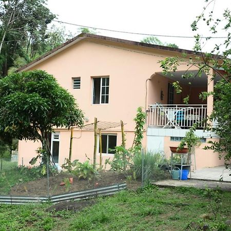 Maison Lavanne Saint-Joseph Luaran gambar