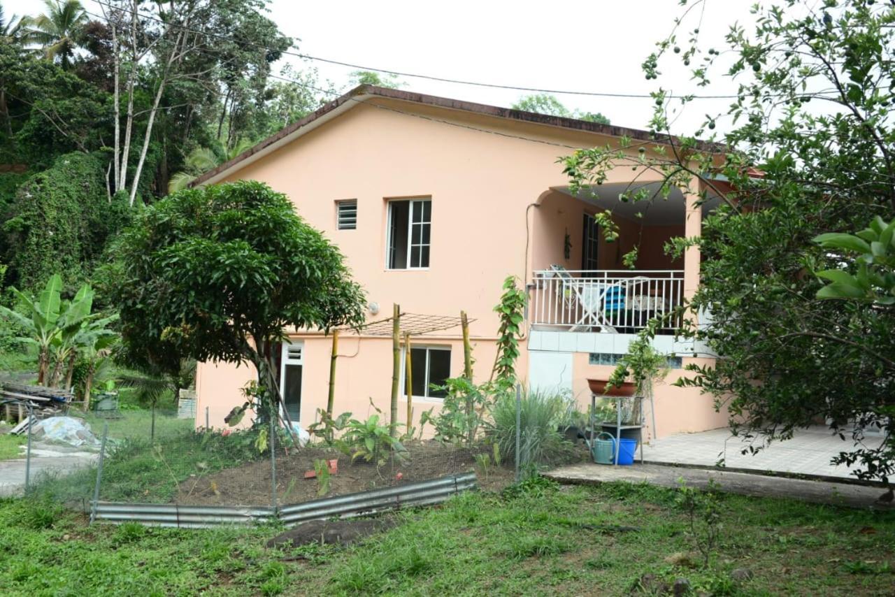Maison Lavanne Saint-Joseph Luaran gambar